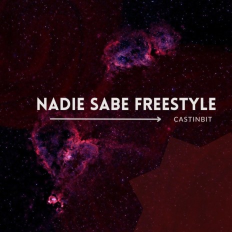 Nadie Sabe Freestyle | Boomplay Music