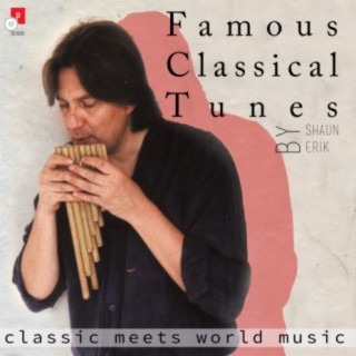 Famous Classical Tunes (Classic Meets World Music)