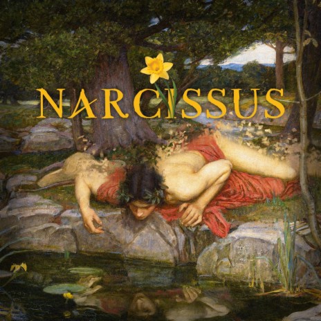 Narcissus | Boomplay Music