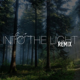 Into the Light (Remix)