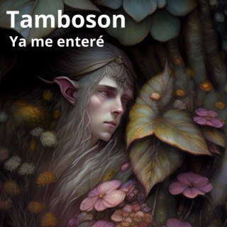 Tamboson