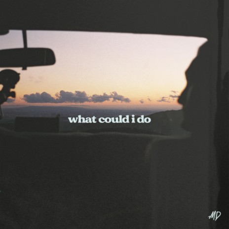 What Could I Do | Boomplay Music