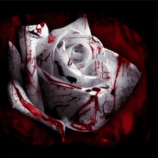 Dead Rose