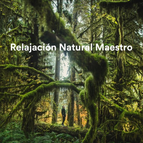 Rain with Thunder ft. Sounds of Nature for Deep Sleep and Relaxation & Relajación Natural Maestro | Boomplay Music