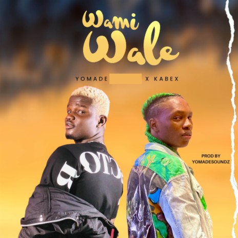 Wamiwale ft. Kabex | Boomplay Music