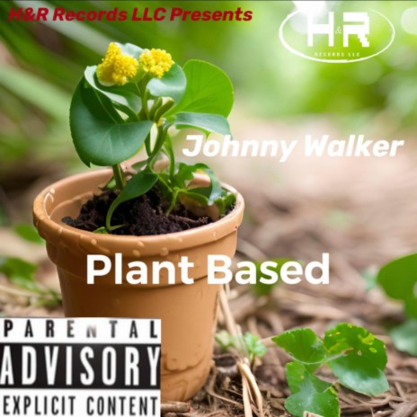 PLANT BASED | Boomplay Music