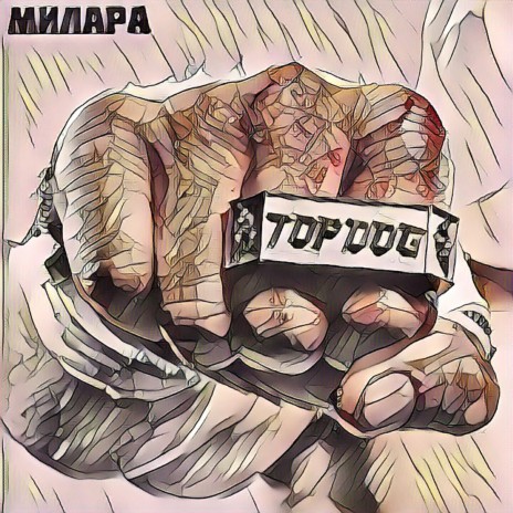 TOP DOG | Boomplay Music