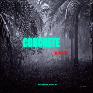 Concrete Jungle ft. OTM KD lyrics | Boomplay Music