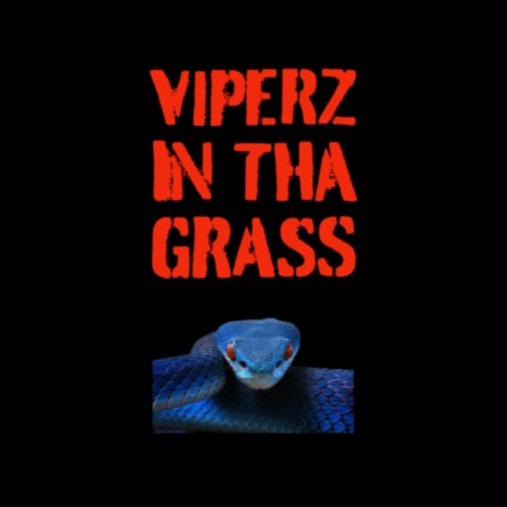 Viperz in Tha Grass