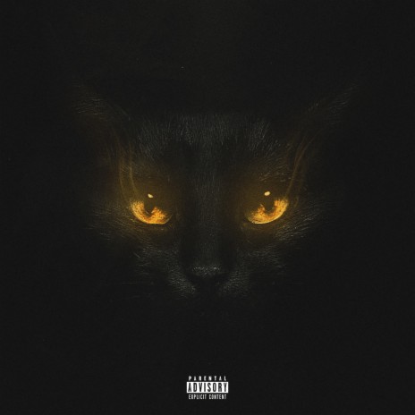 BLACK CAT | Boomplay Music