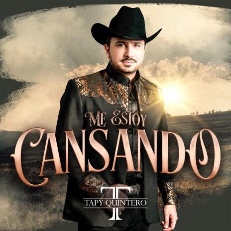 Me Estoy Cansando | Boomplay Music