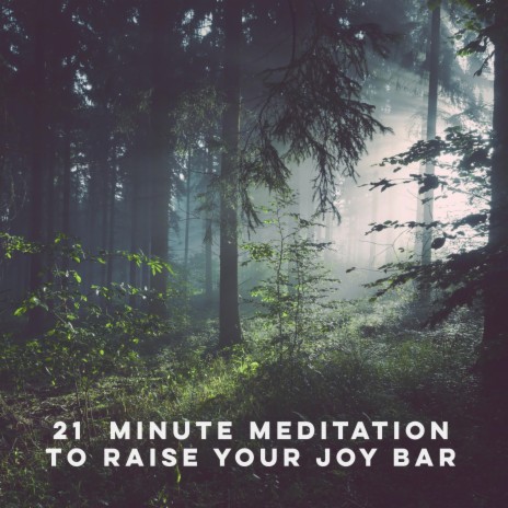 21 Minute Meditation to Raise Your Joy Bar | Boomplay Music