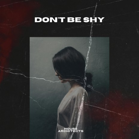 Don't Be Shy (Radio Edit)