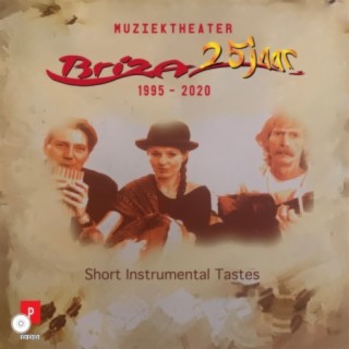Briza 25 jaar (Short Instrumental Tastes)