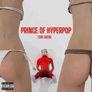 Prince Of Hyperpop
