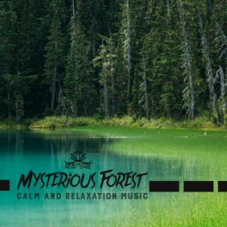 Mysterious Forest: The Calm and Relaxation Music