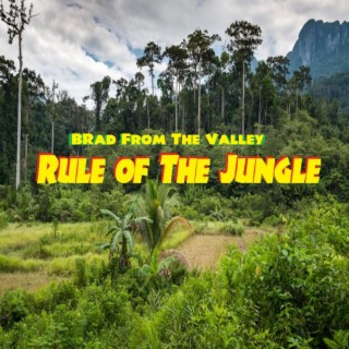 Rule Of The Jungle (Re-Mastered)