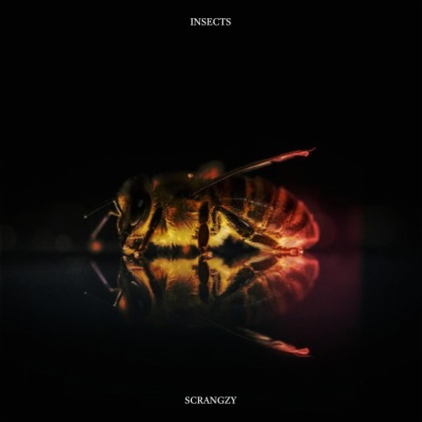 Insects ft. Scrangzy | Boomplay Music