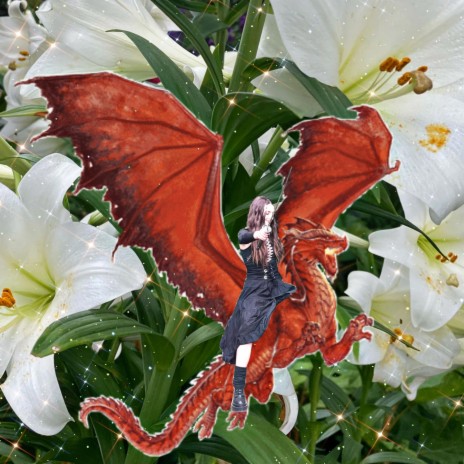 Dragons n lilies