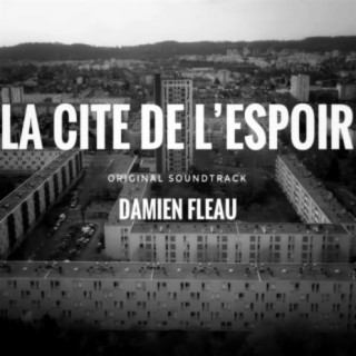 Damien Fleau