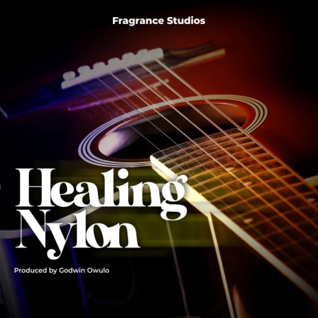 Healing Nylon ft. Godwin Owulo | Boomplay Music