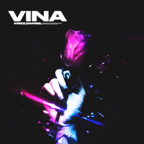 VINA (prod. by msblack) ft. Dangel | Boomplay Music