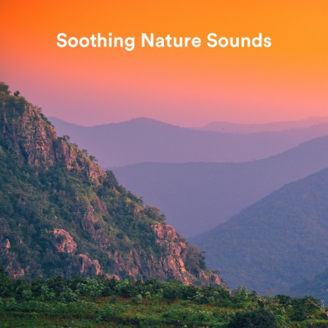 Mighty Thunder and Rain ft. Calming Rainforest Sounds & Sonido del Bosque y Naturaleza | Boomplay Music