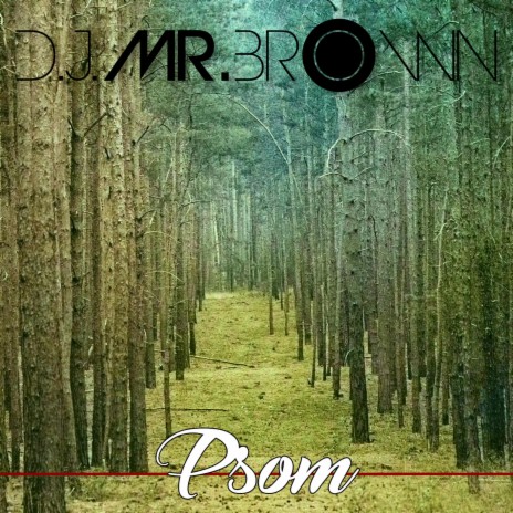 Psom1 | Boomplay Music