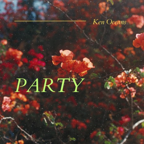 Party | Boomplay Music