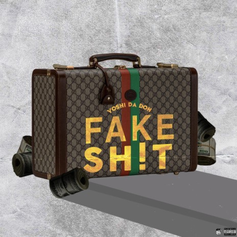Fake Shit | Boomplay Music