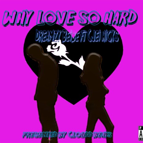 Why Love So Hard (Radio Edit) ft. Cjei & Dreamzy Beibe