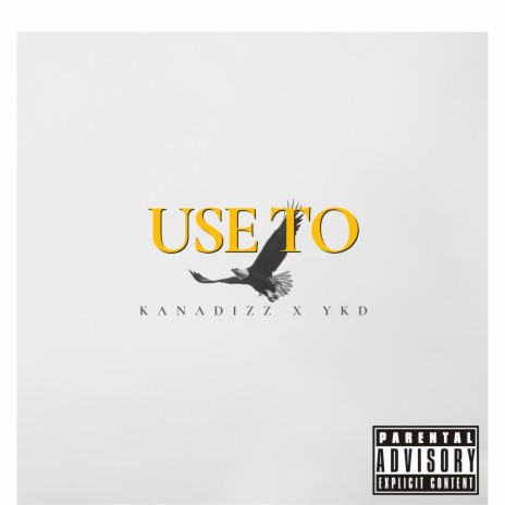 Use To (feat. YKD) | Boomplay Music