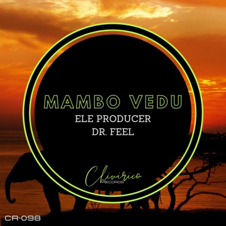 Mambo Vedu ft. Dr Feel | Boomplay Music