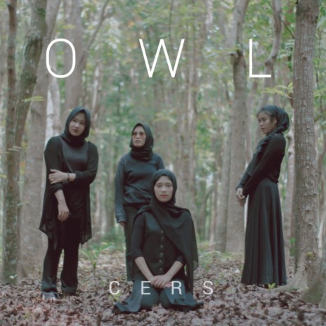 Owl | Boomplay Music