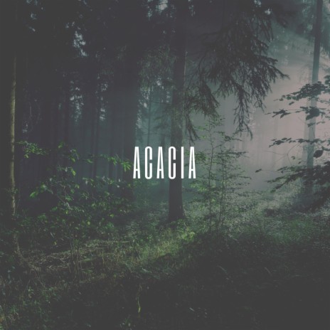 Acacia | Boomplay Music