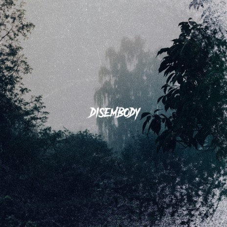 Disembody | Boomplay Music