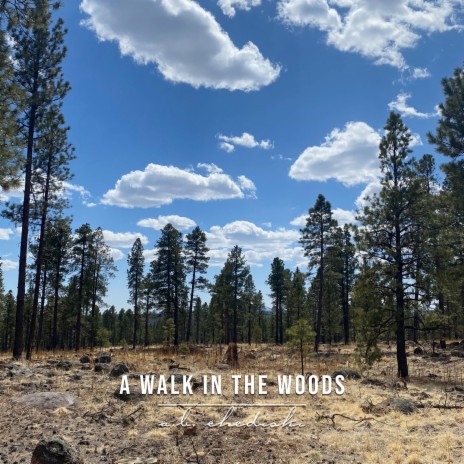 A Walk In The Woods | Boomplay Music