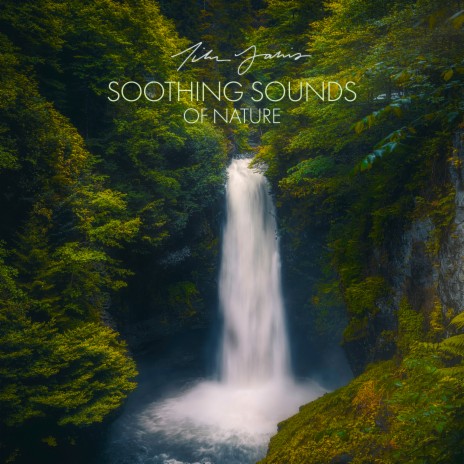 Tim Janis - In The Dawn with Ambient Nature Sounds MP3 Download & Lyrics |  Boomplay