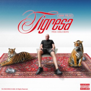 Tigresa lyrics | Boomplay Music