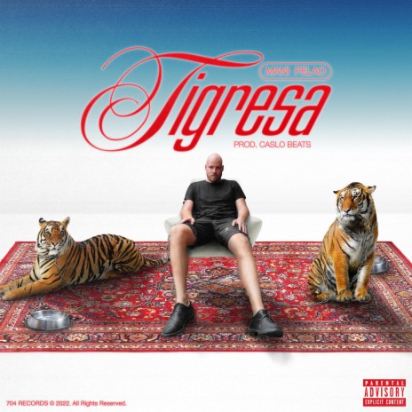 Tigresa | Boomplay Music