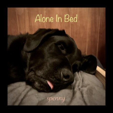 Alone in Bed | Boomplay Music
