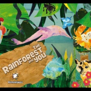 The Rainforest And You