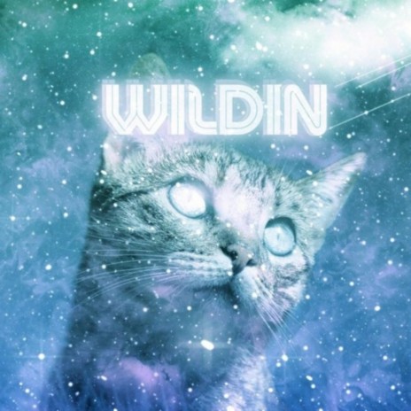 WILDIN | Boomplay Music