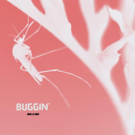 Buggin' | Boomplay Music