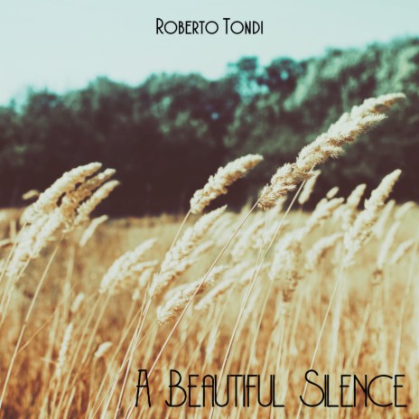 A Beautiful Silence | Boomplay Music