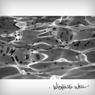 Wishing Well lyrics | Boomplay Music