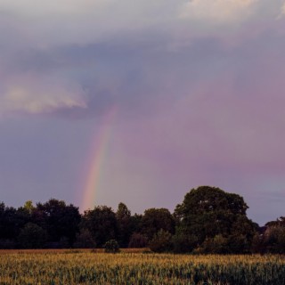 Rainbow Fields