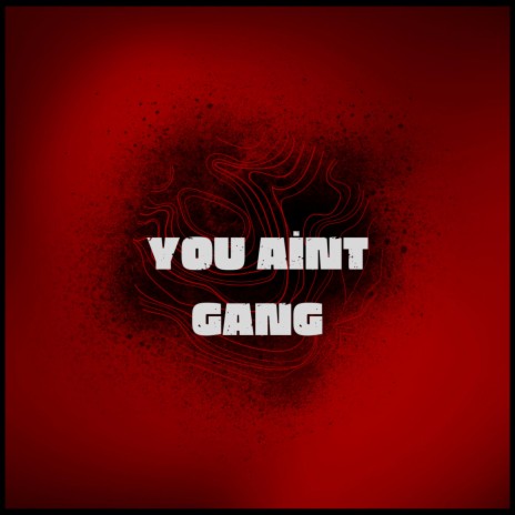 You Aint Gang | Boomplay Music