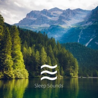 Soft Sleepful Noises Sounds for Babies Sleep