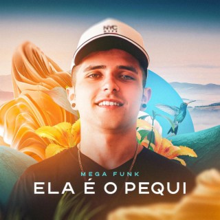 MEGA FUNK ELA É O PEQUI